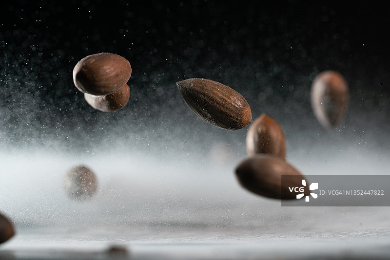 黑色背景中的香榧图片素材