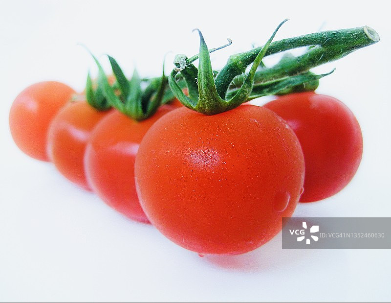 藤蔓上的番茄图片素材