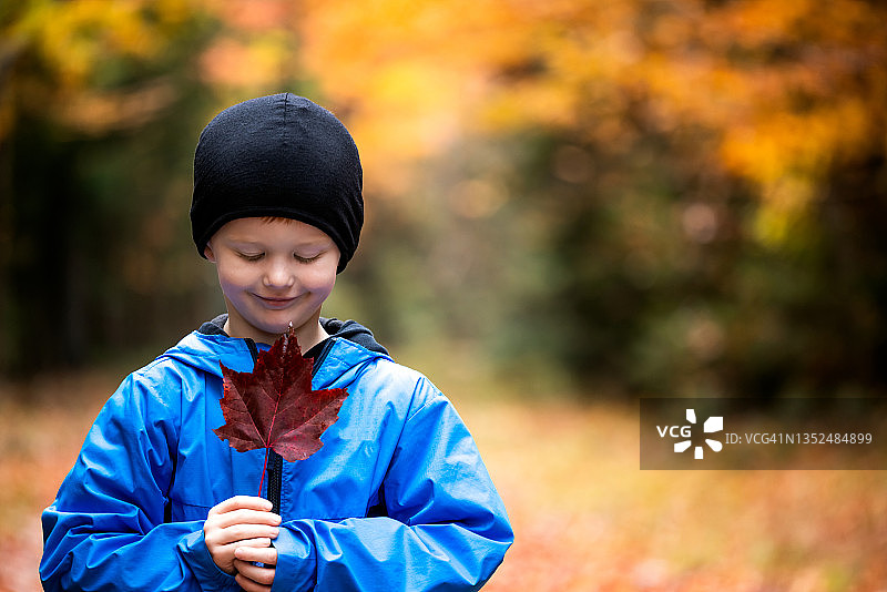 可爱的小红发男孩在翠湖山国家公园捡拾秋叶图片素材