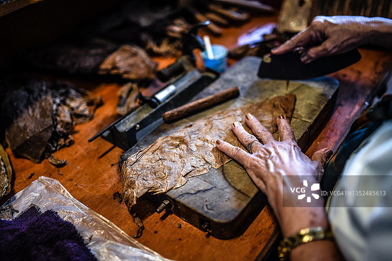 古巴特立尼达雪茄制作过程中的烟叶卷制图片素材