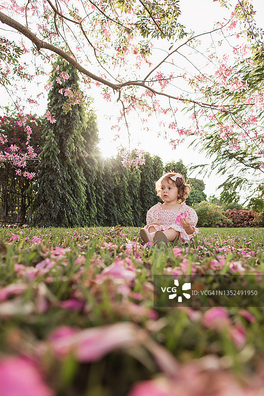 在盛开的粉色丝绒花树下，穿着粉色碎花裙的2岁女童图片素材