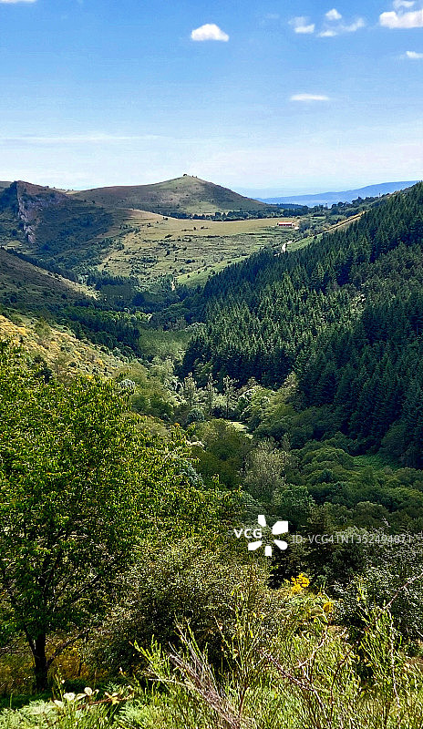 拉里奥哈的帕苏恩戈斯森林图片素材