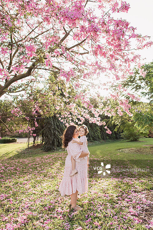 在南佛罗里达州盛开的粉色丝绸树下，30岁的孕妇和2岁的女儿图片素材