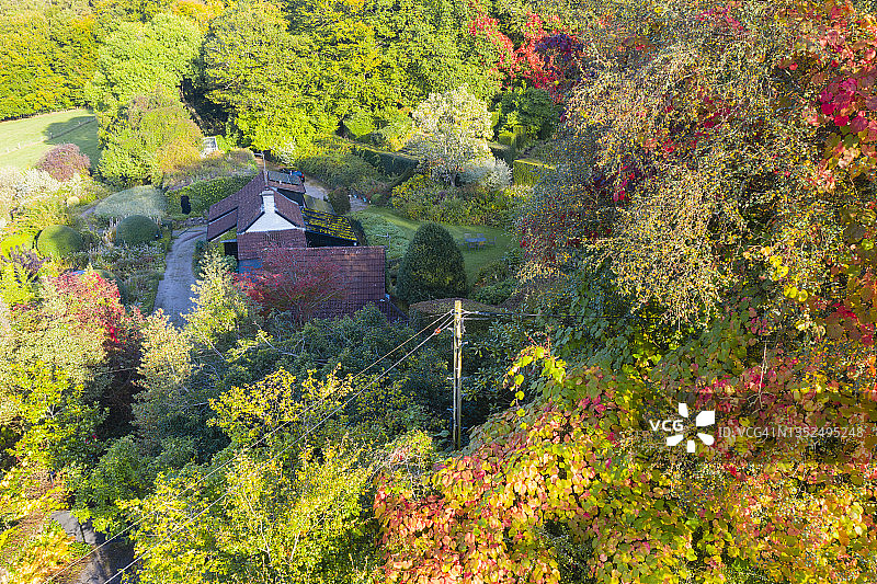 无人机视角下的维德豪斯花园红叶藤房屋图片素材