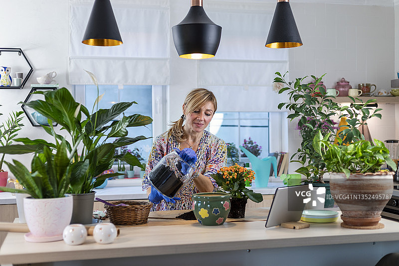 照料室内植物图片素材
