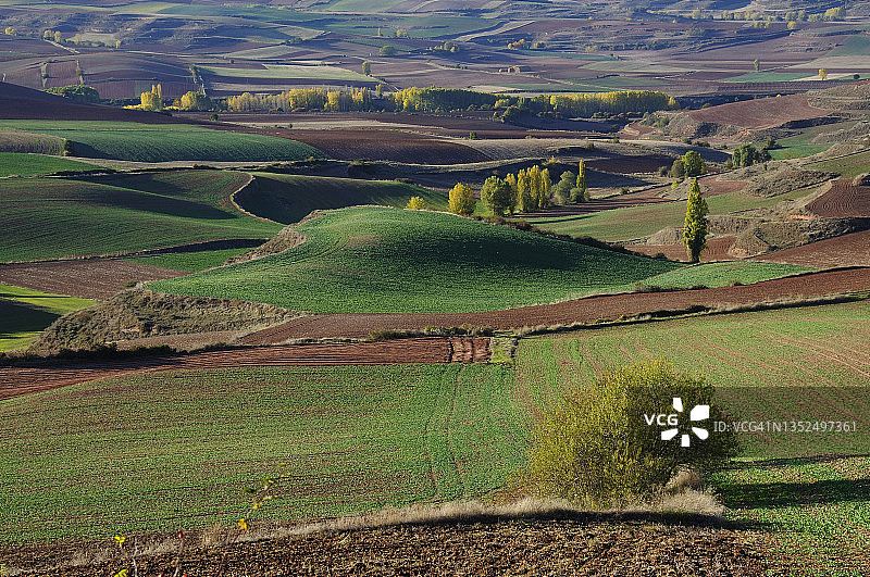 夏季的贝塞奥田野图片素材