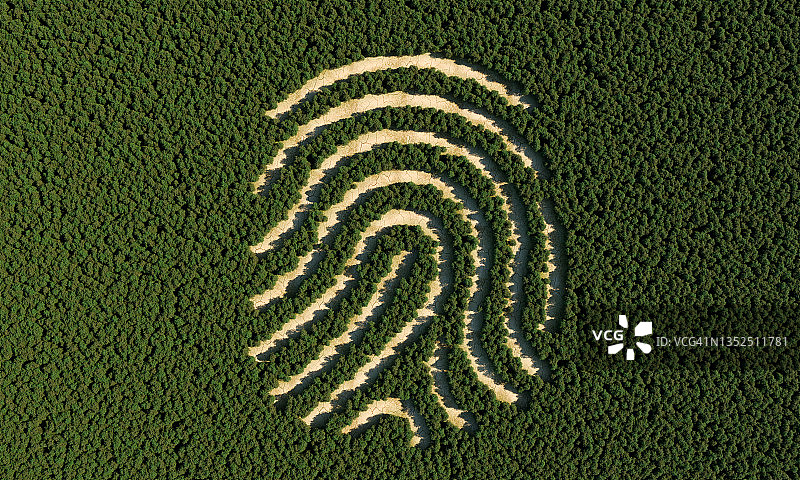 人类指纹形状的森林砍伐图片素材