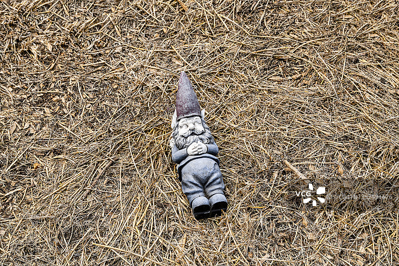 睡在干草地里的侏儒图片素材