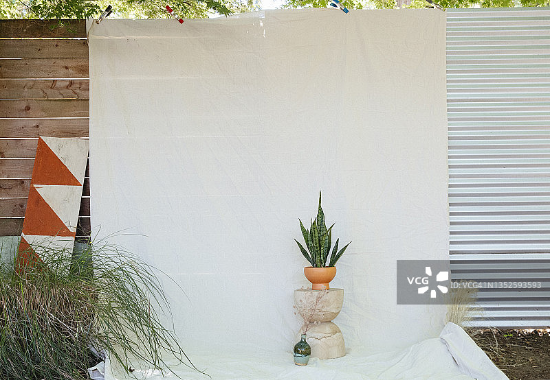 家居摄影棚布置，含布景和绿植图片素材