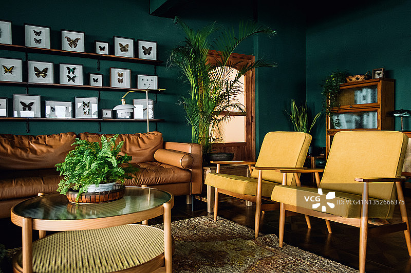 时尚客厅内景，棕黄家具，墨绿墙面，植物蝴蝶装饰图片素材