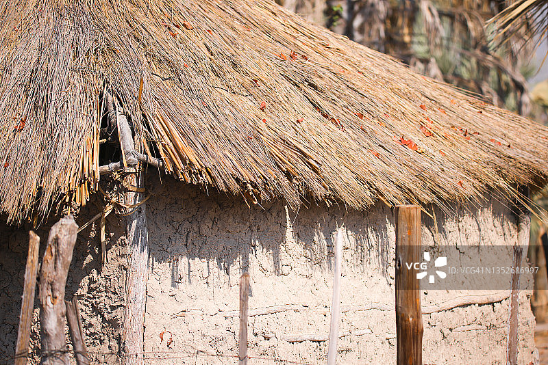 博茨瓦纳奥卡万戈三角洲的独木舟探险图片素材