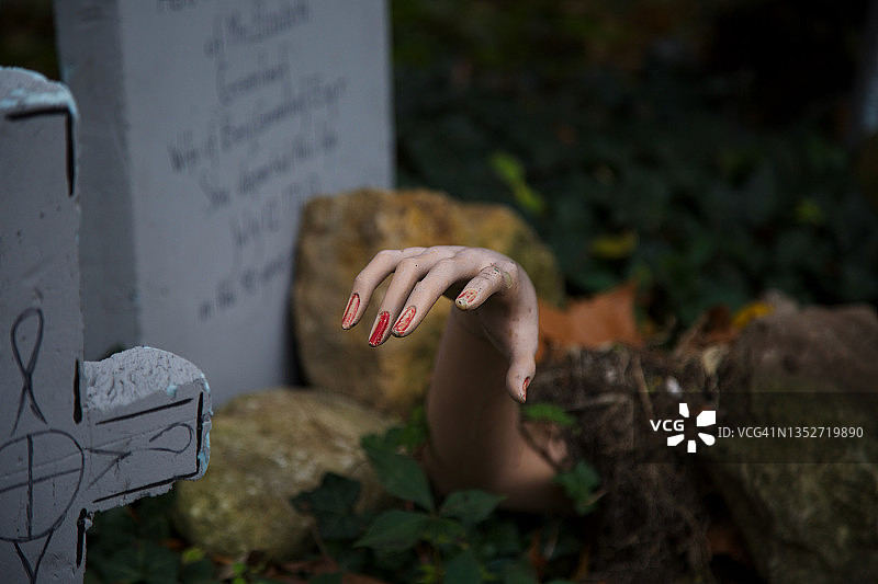 怪异的万圣节装饰，从坟墓里伸出的手图片素材