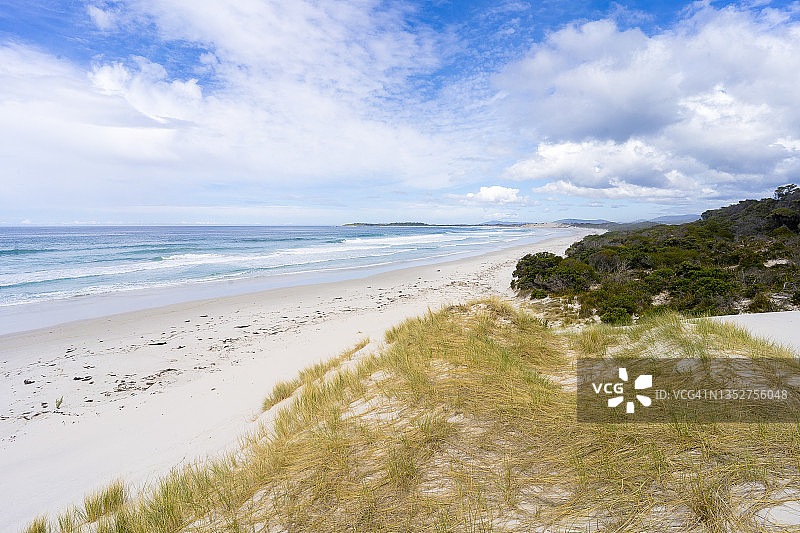 塔斯马尼亚东海岸的皮卡尼尼海滩图片素材