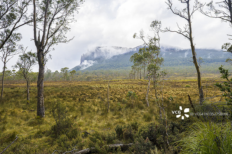 奥克利山 | 陆路赛道 | 塔斯马尼亚图片素材