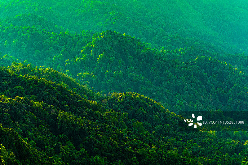 地球日植树造林环保理念图片素材