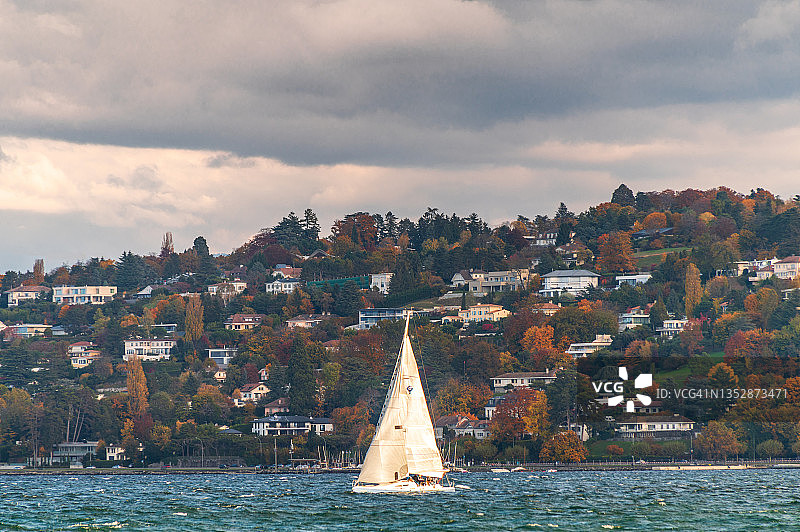 秋季瑞士日内瓦湖上的帆船图片素材