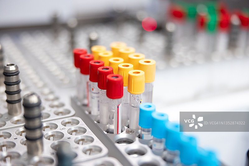 试管架上的样品管图片素材