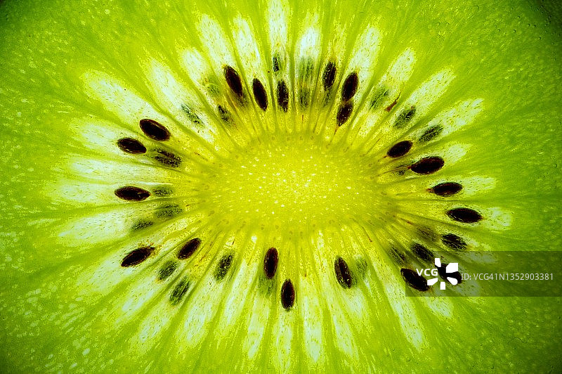 猕猴桃特写图片素材