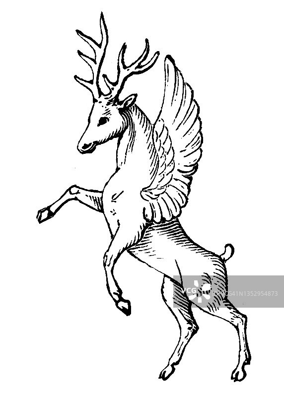带翼牡鹿的老式雕刻插图图片素材
