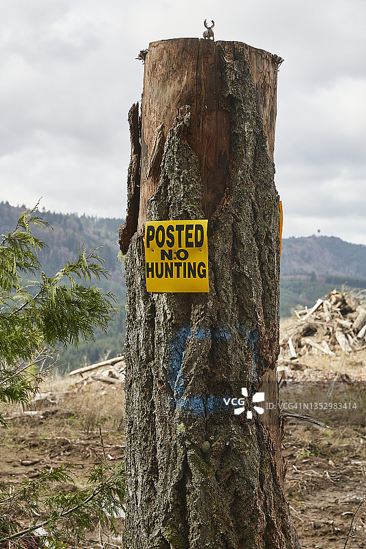 禁止狩猎的树桩标牌图片素材