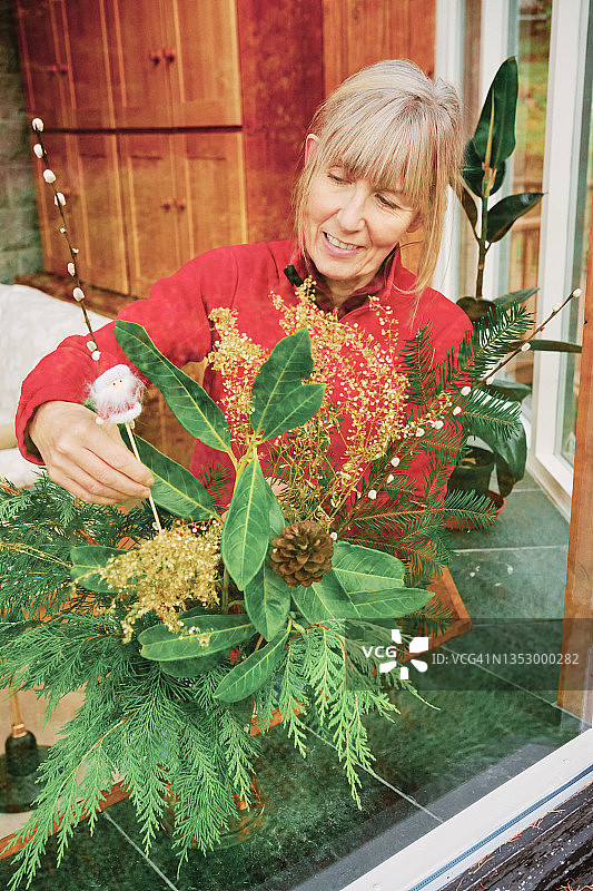 圣诞节花瓶插花系列图片素材