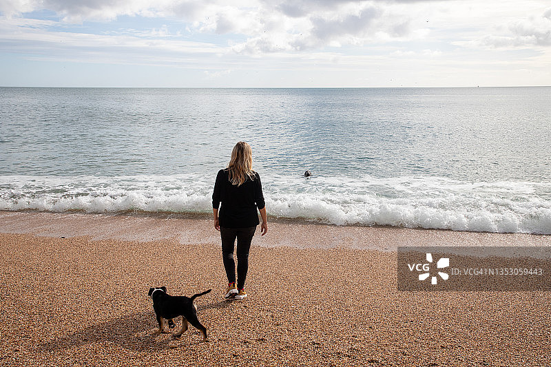 女士看着灰色海豹图片素材