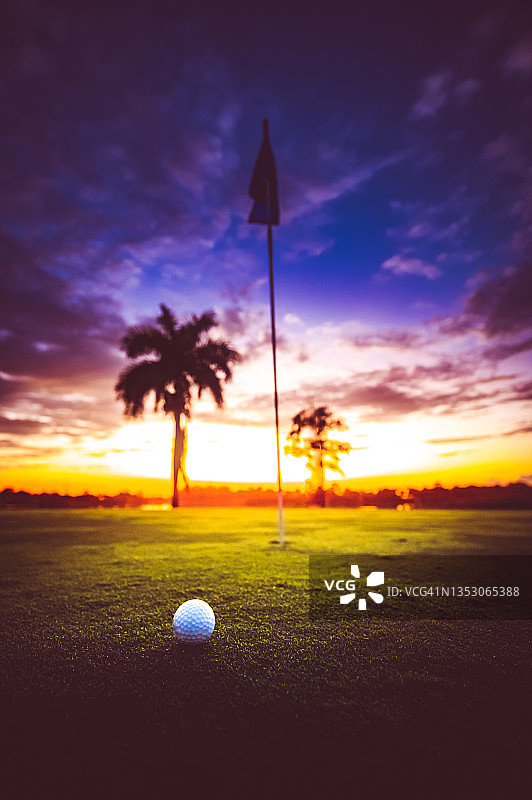 高尔夫球和棕榈树剪影下的日落美景图片素材