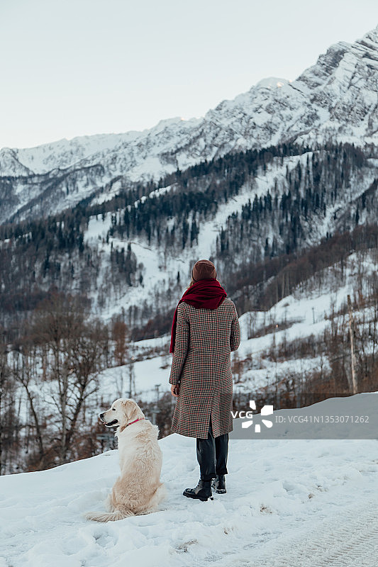 年轻的欧洲女子在雪山中欣赏风景，身旁有一只白色金毛寻回犬图片素材
