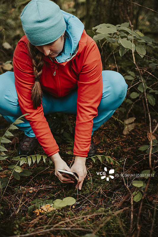 年轻女人用智能手机拍摄森林地面上的野生蘑菇图片素材