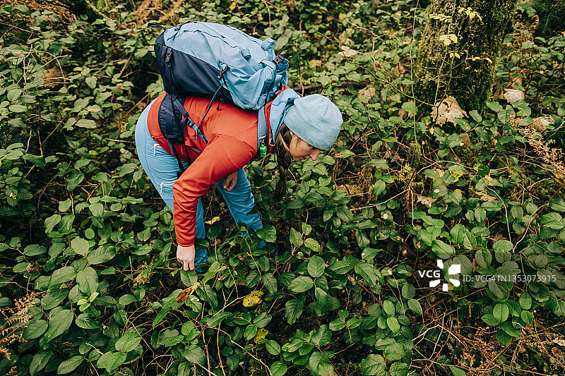 年轻女子在茂密的灌木丛中寻找蘑菇图片素材
