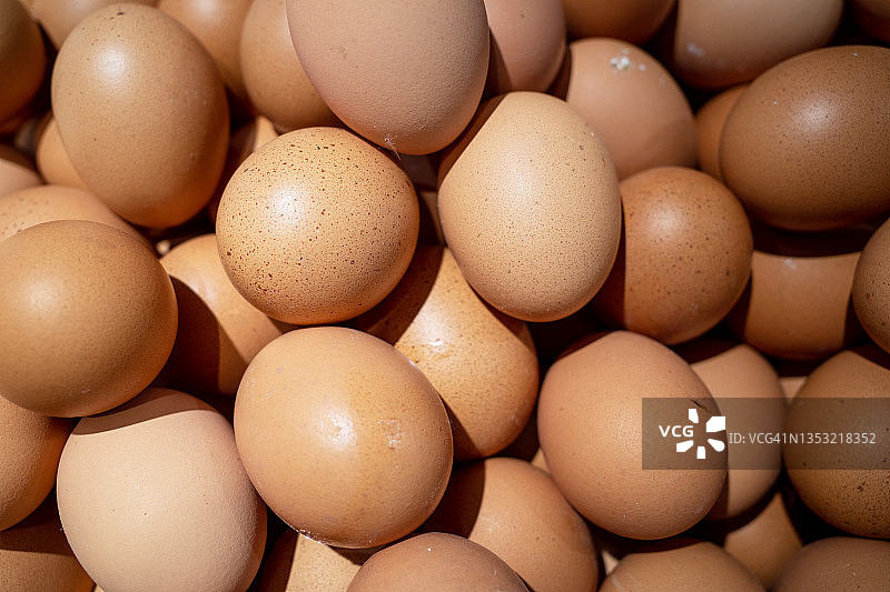 待售的鸡蛋堆图片素材