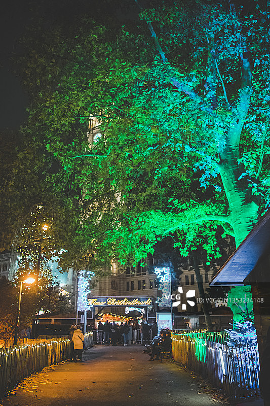 维也纳圣诞市场市政厅广场公园的彩色树木图片素材