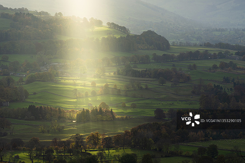 自然的聚光灯图片素材