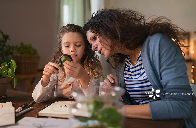 小女孩在家用放大镜和妈妈一起做生物项目，在家上学。图片素材