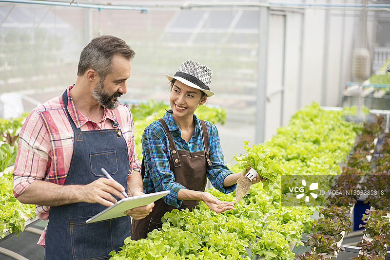 在水培蔬菜沙拉农场平板电脑上记录数据图片素材