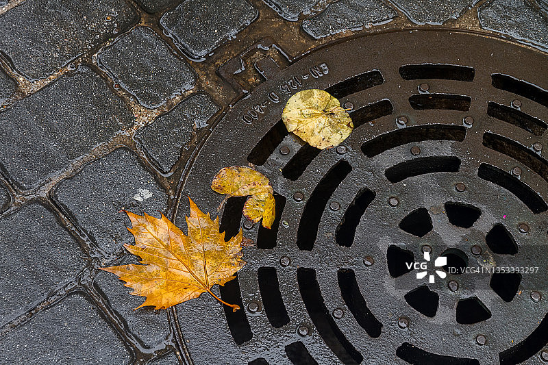 下水道旁的落叶图片素材