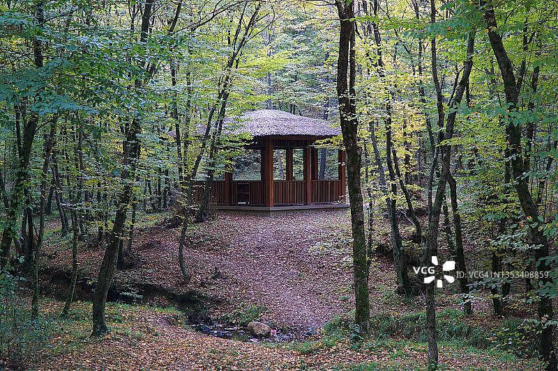 凯梅尔布尔加兹城市森林图片素材