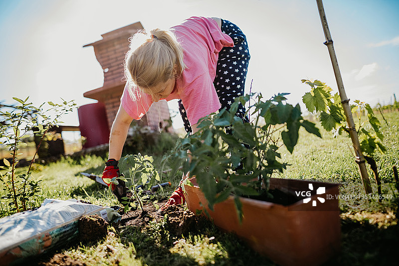 在她花园里种植的女人图片素材