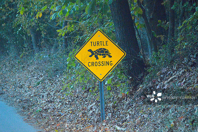 海龟横穿标志图片素材