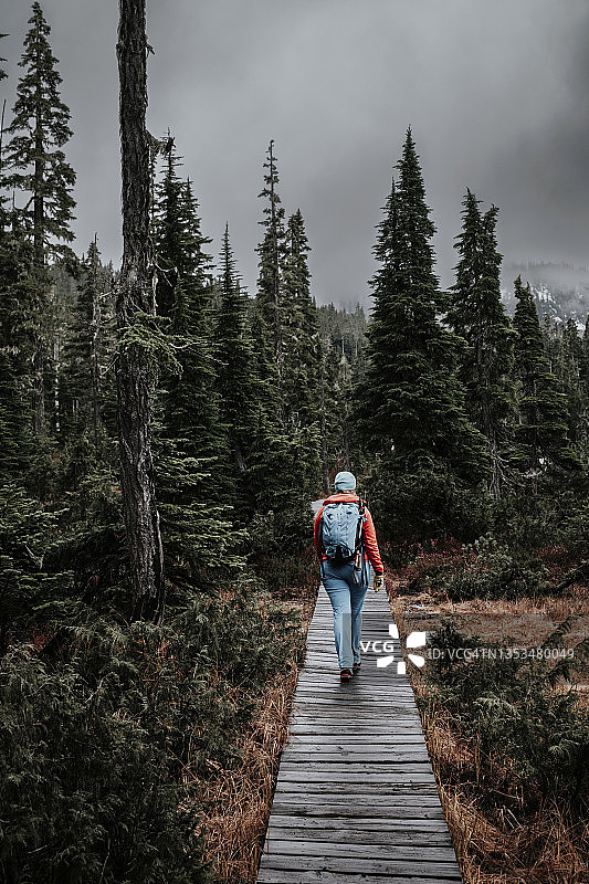 女背包客沿着高山草甸的木板路徒步旅行图片素材