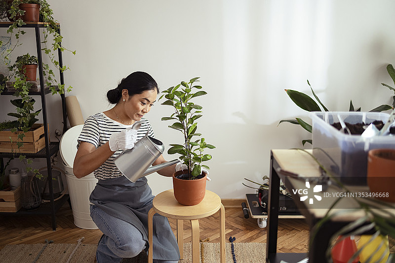 室内花园：美丽的女人在家中浇灌植物图片素材