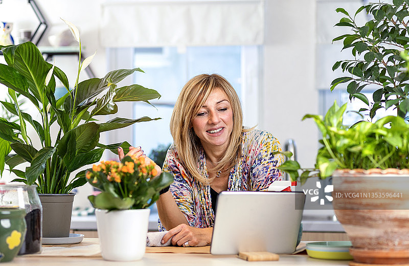 照料室内植物图片素材