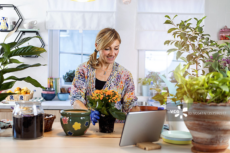 照料室内植物图片素材