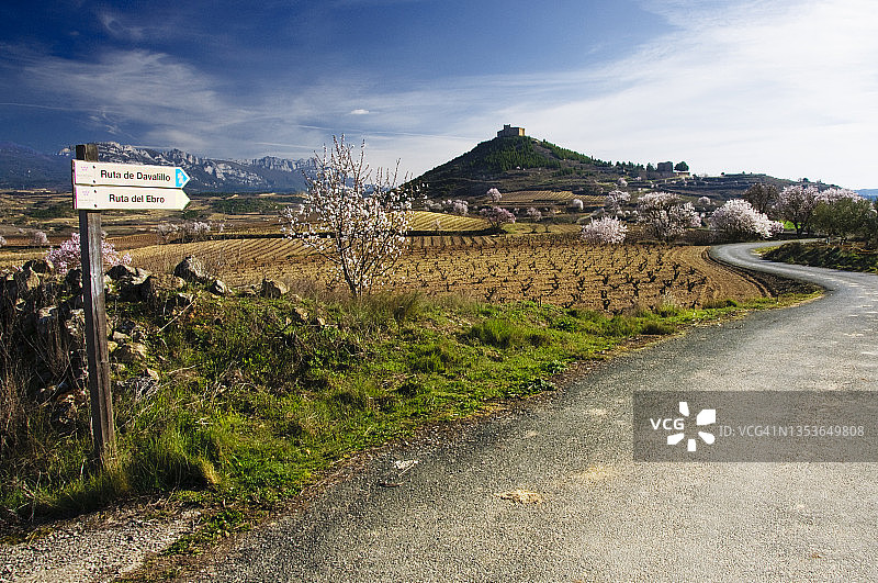 穿过葡萄园，通往达瓦利洛城堡的小路图片素材