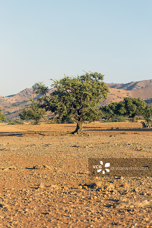摩洛哥苏斯-马塞-德拉地区，北非图片素材