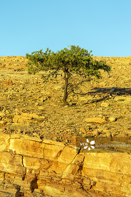 摩洛哥苏斯-马塞-德拉地区，北非图片素材