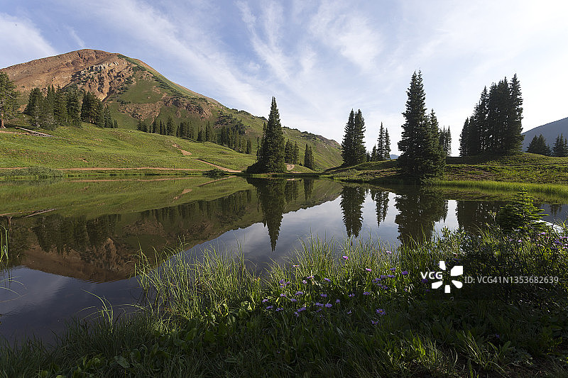 自然中的绿色图片素材