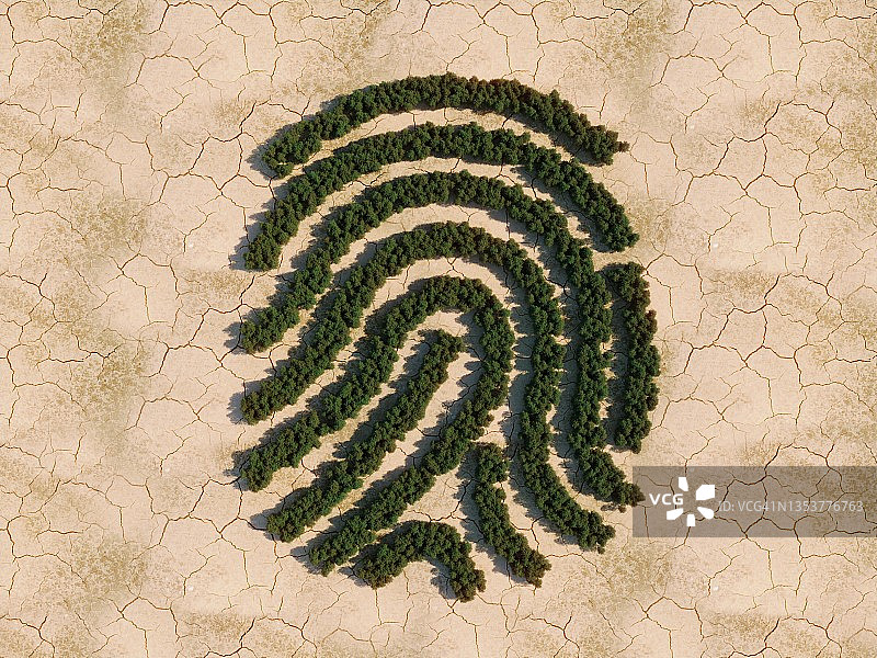 指纹森林图片素材