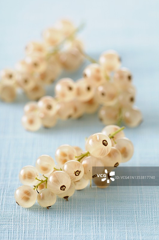 彩色桌布上的白色醋栗图片素材