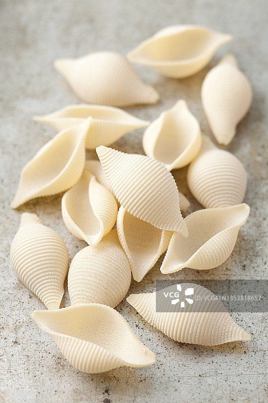 灰色表面的意面贝壳图片素材